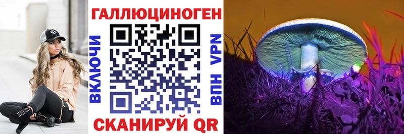 продажа наркотиков  мега ТОР  Галлюциногенные грибы GOLDEN TEACHER  Кола 